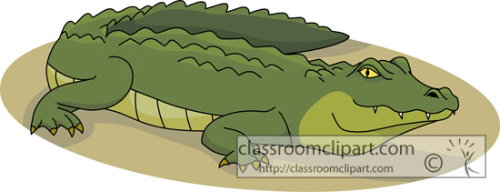 Aligator 8 Alligator Images For Image Png Clipart
