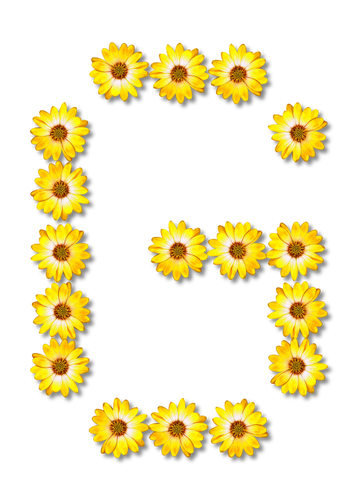 Letter G In Flowers Clipart