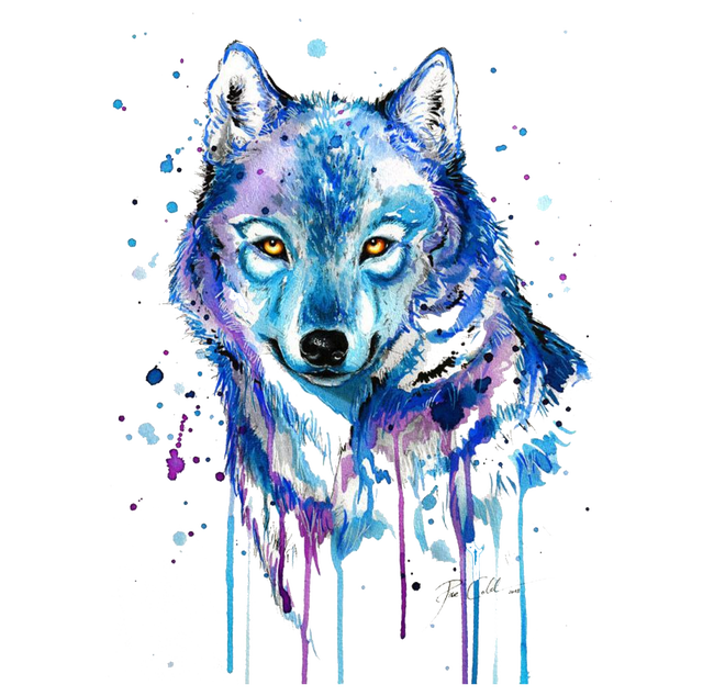 Gray Tattoo Abstract Watercolor Wolf Painting Drawing Clipart