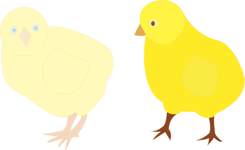 Of Two Chicks In Different Shades Of Yellow Clipart