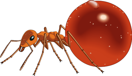 Ant Image Free Download Png Clipart