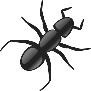 Ant Ant Image Png Image Clipart