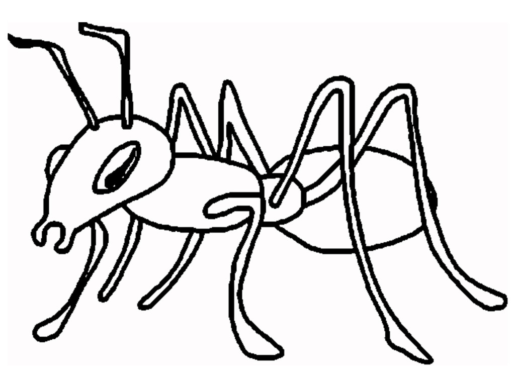Ant Download Png Clipart