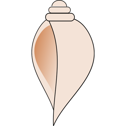 Conch Shell Clip Art Clipart