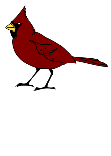 Cardinal Bird In Red Color Clip Art Clipart
