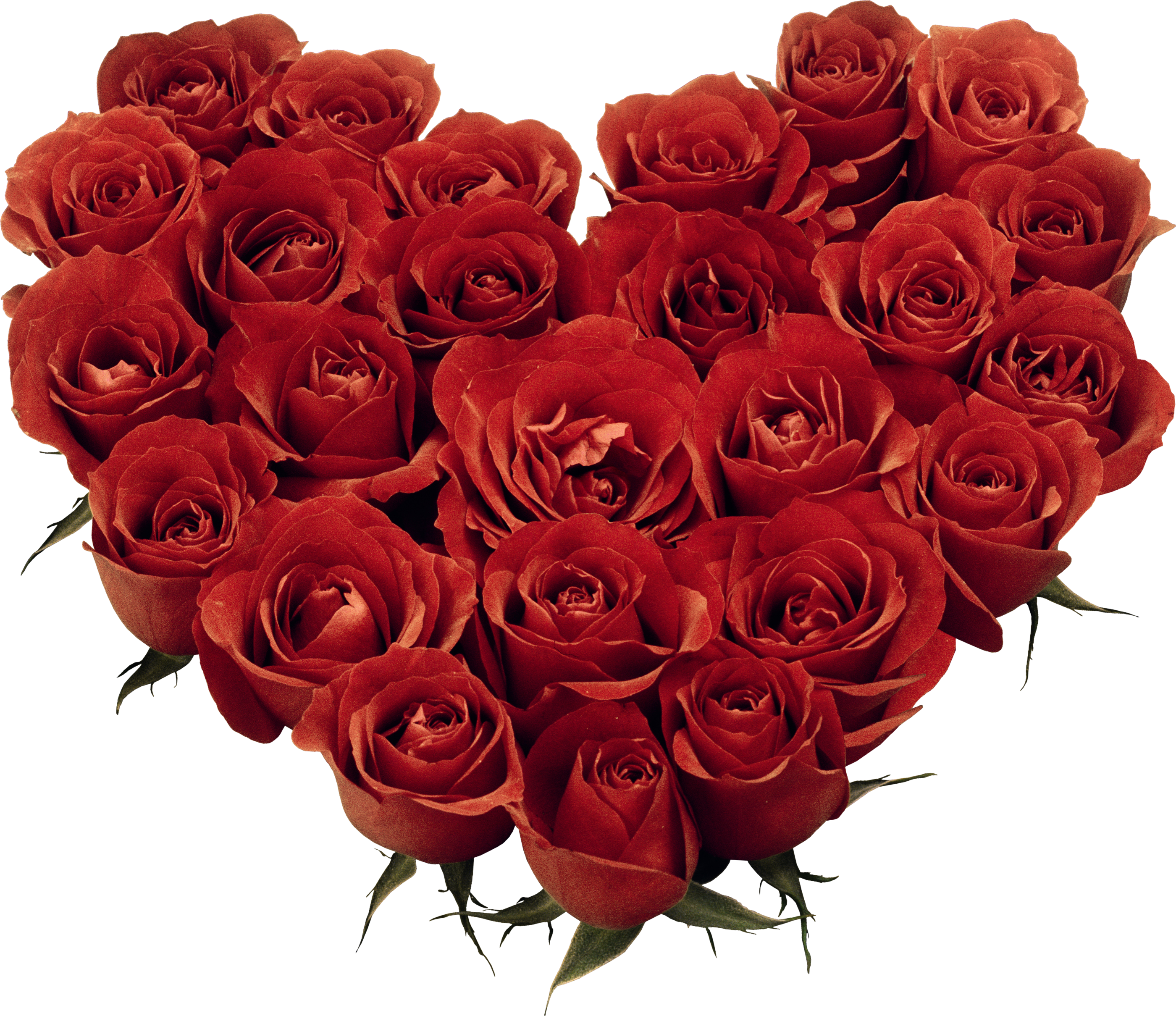 Heart Cut Garden Bouquet Of Roses Flower Clipart