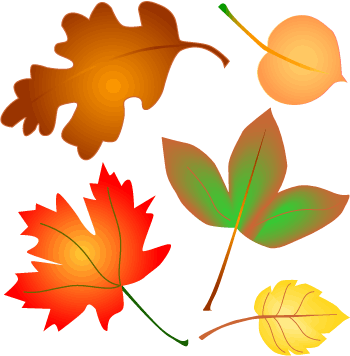 Autumn Fall Leaves Border Images Free Download Clipart