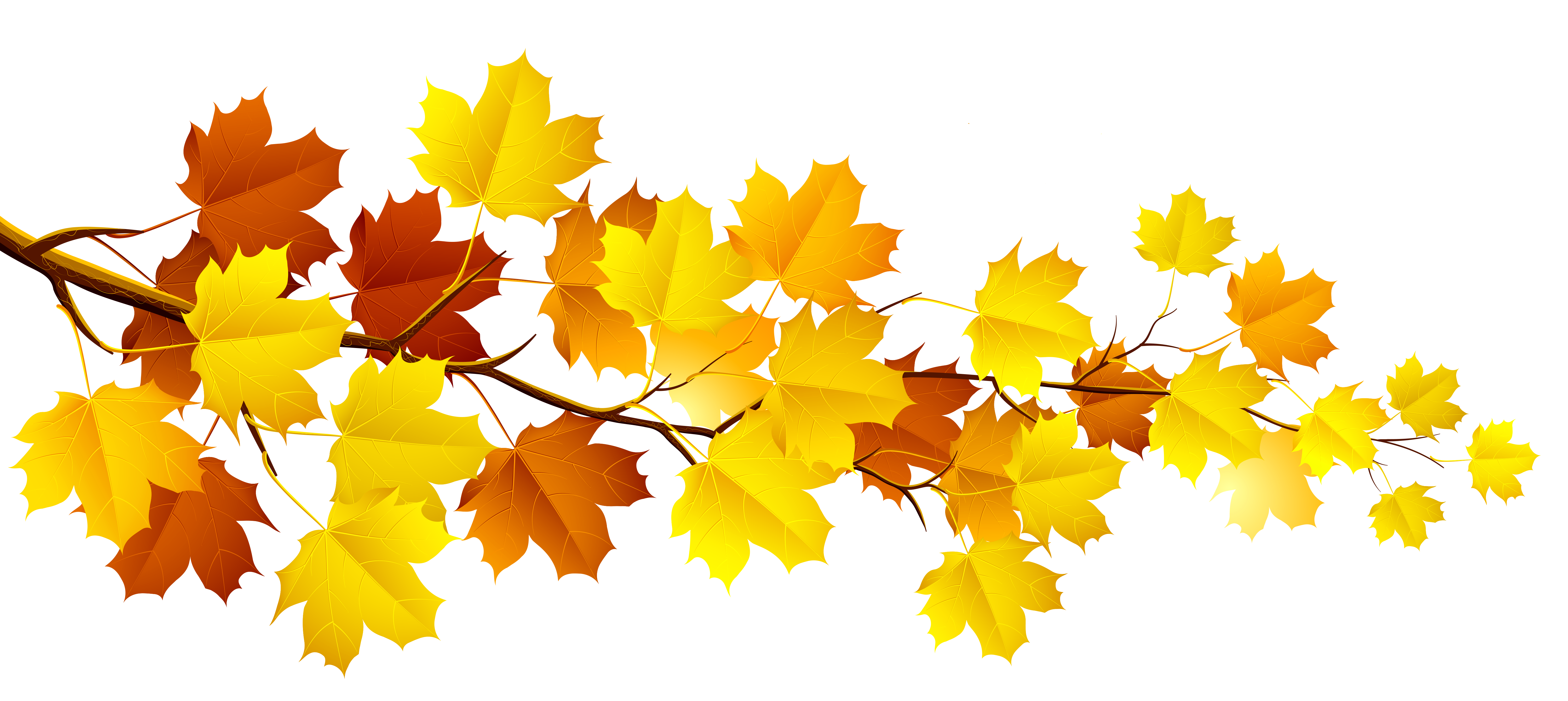 Autumn With Leaves Tree Branch Download Free Image Clipart
