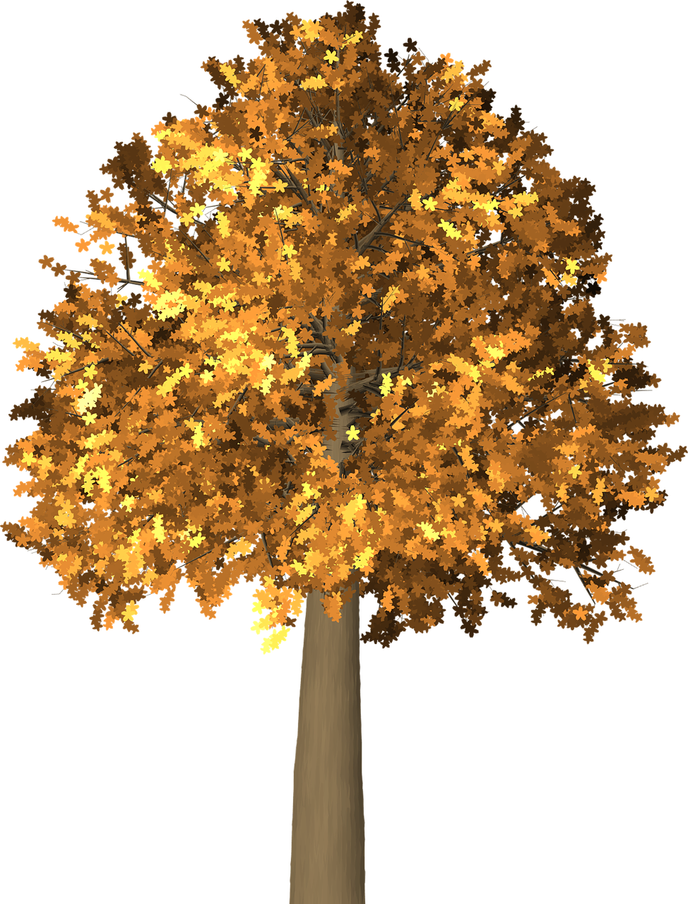Autumn Tree Branch Maidenhair Download HD PNG Clipart