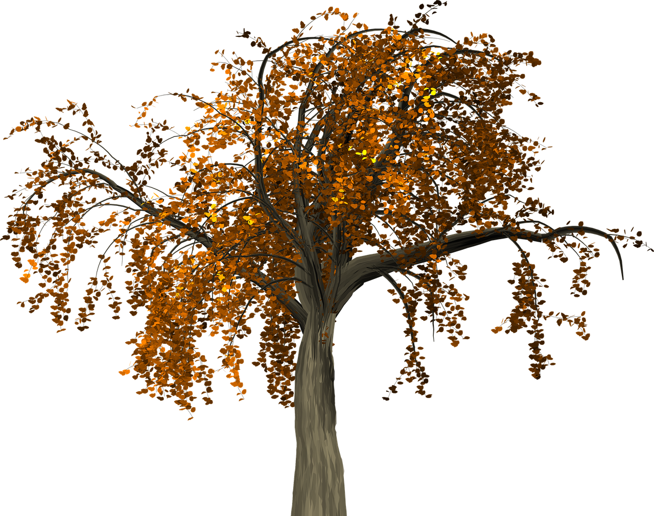 Autumn Tree Branch Free Clipart HD Clipart