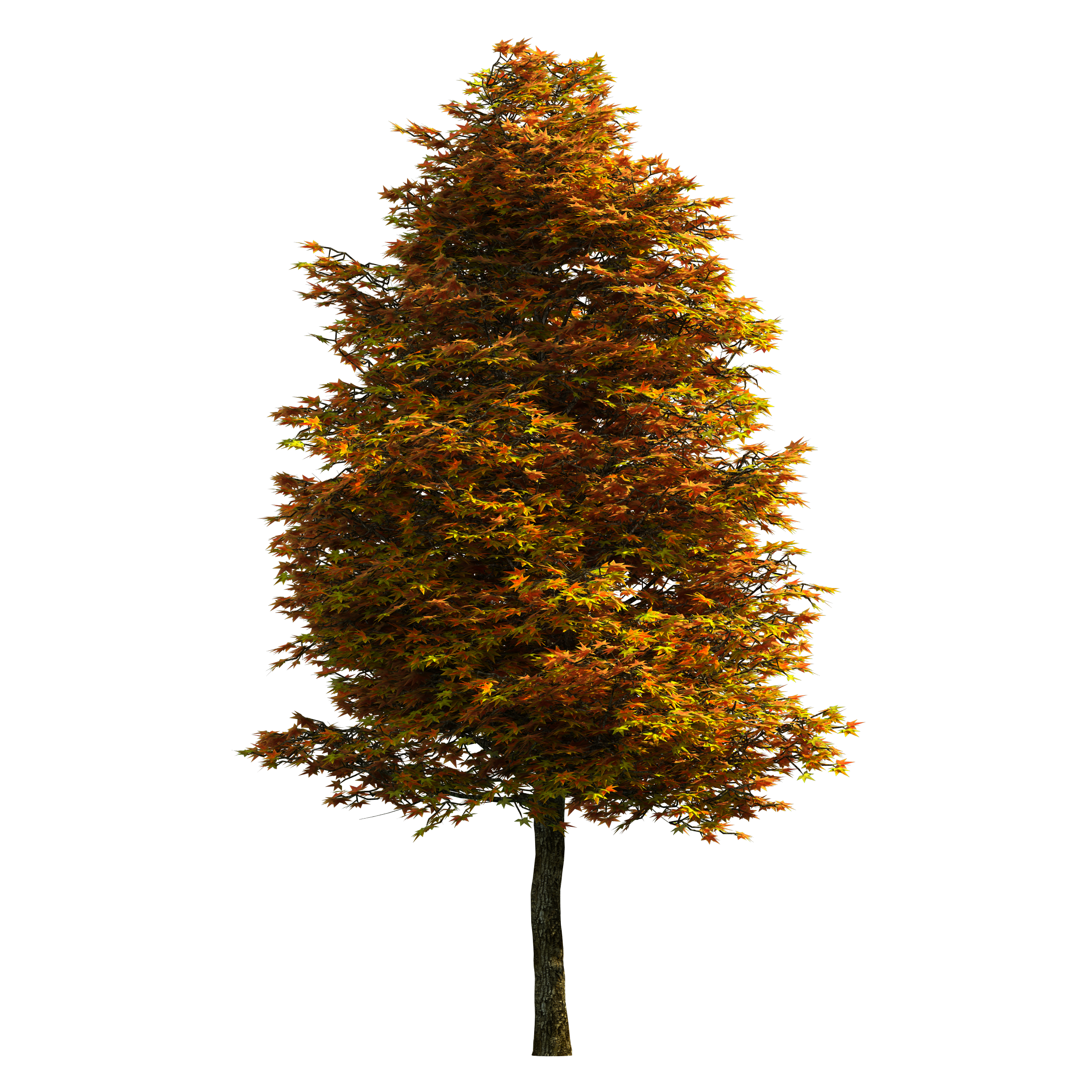 Tree PNG Download Free Clipart
