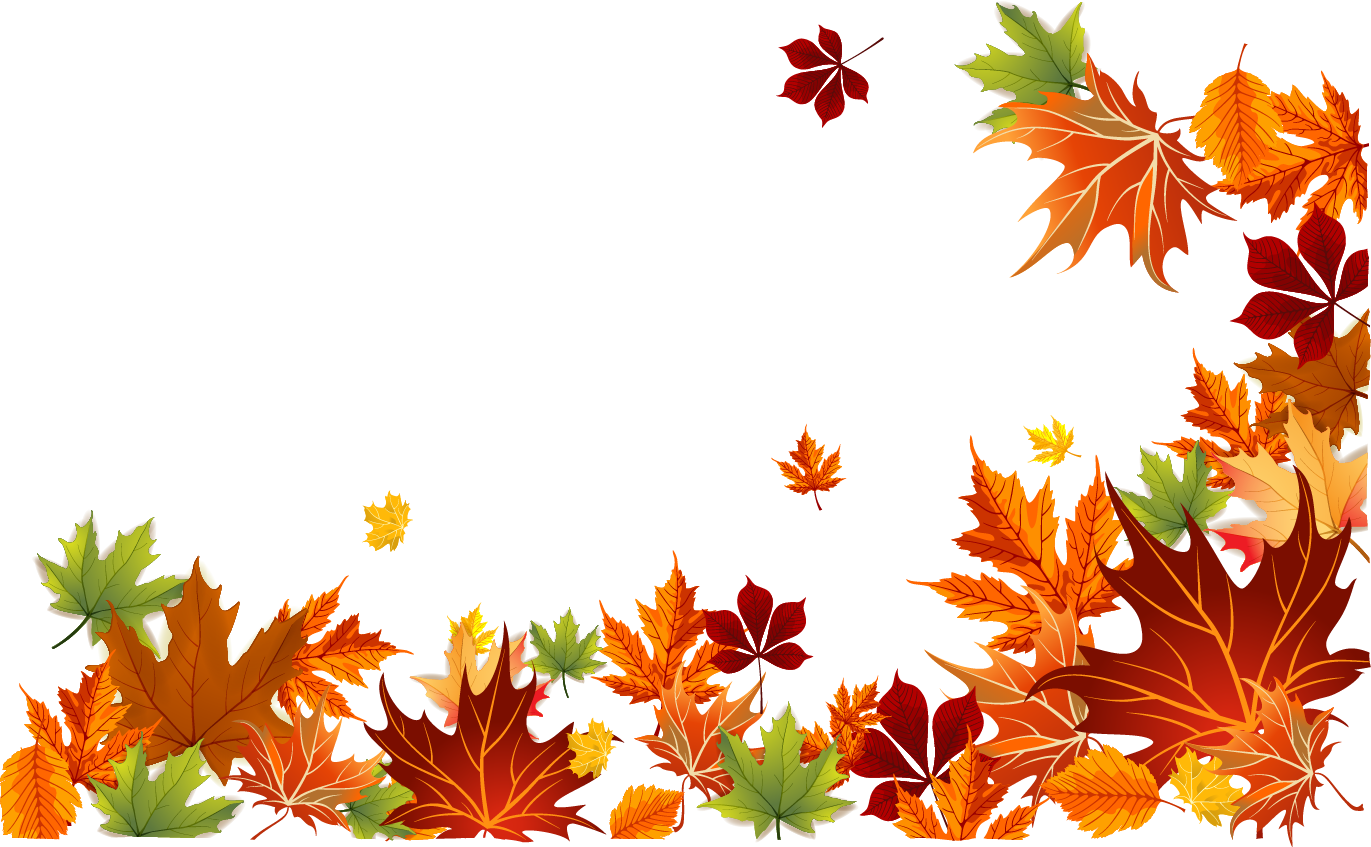 download-leaf-color-leaves-autumn-euclidean-vector-clipart-png-free