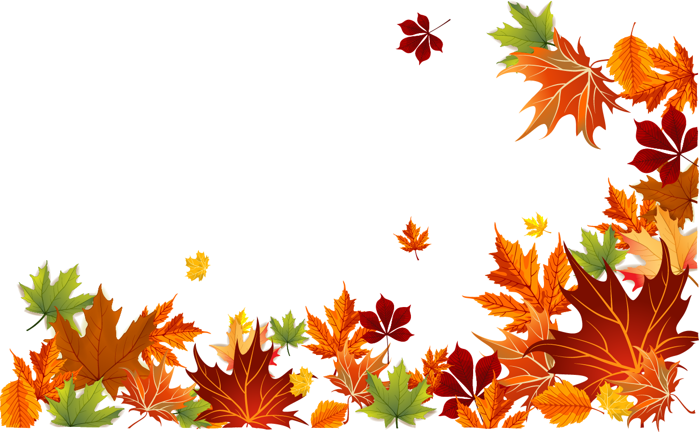 Leaf Color Leaves Autumn Euclidean Vector Clipart