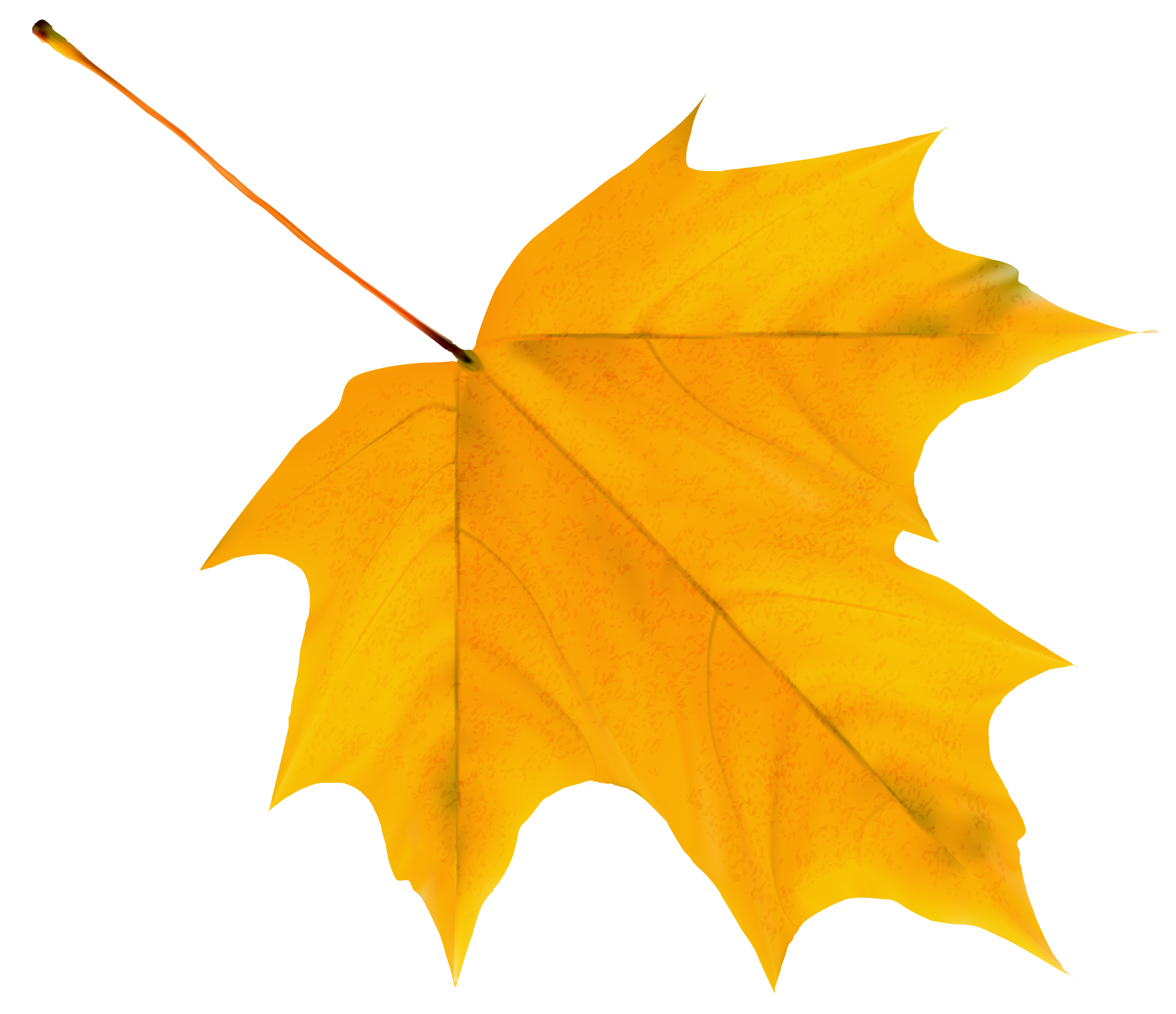 Autumn Color Leaf Yellow Free Clipart HD Clipart