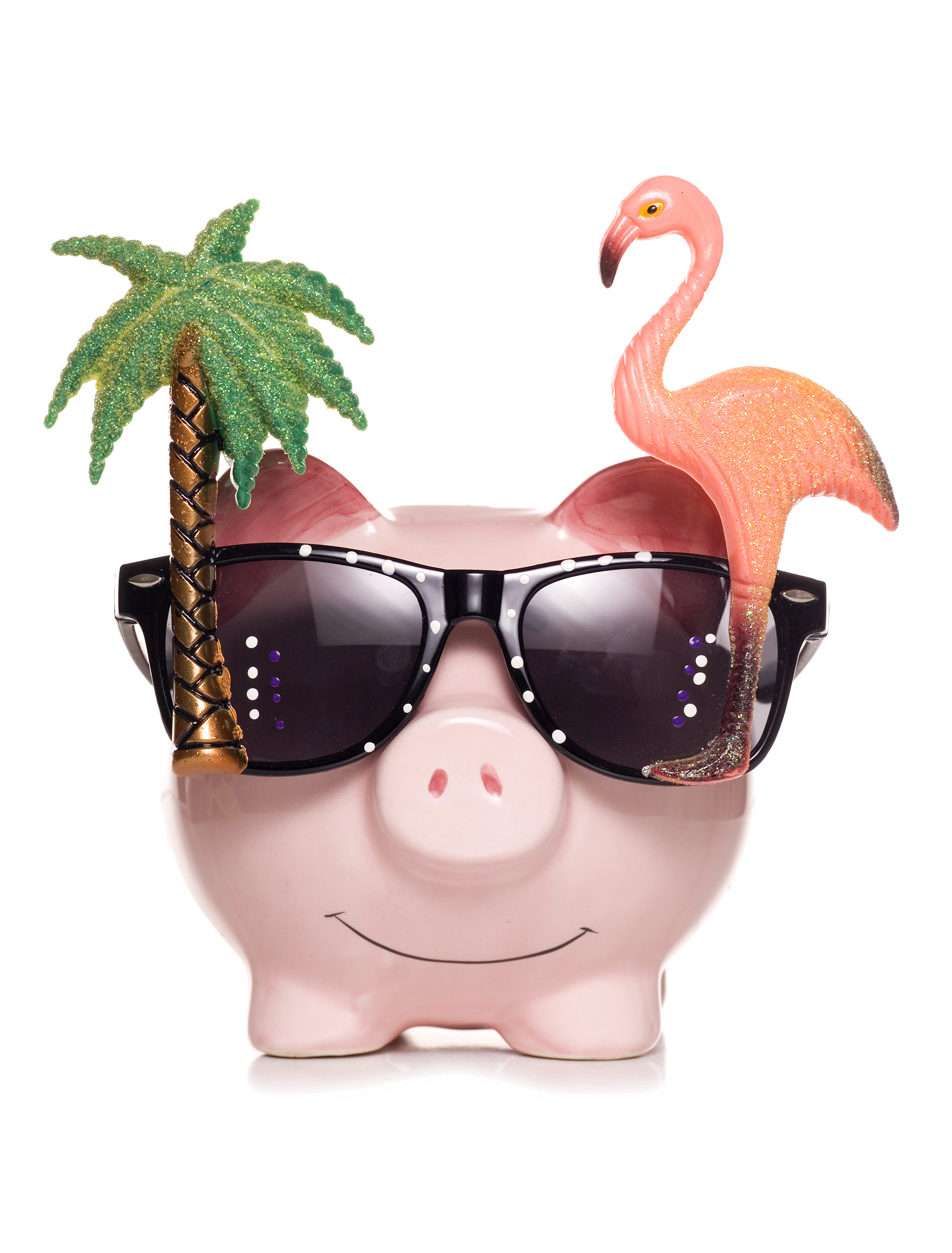 Saving Money Domestic Pig Piggy Bank Clipart