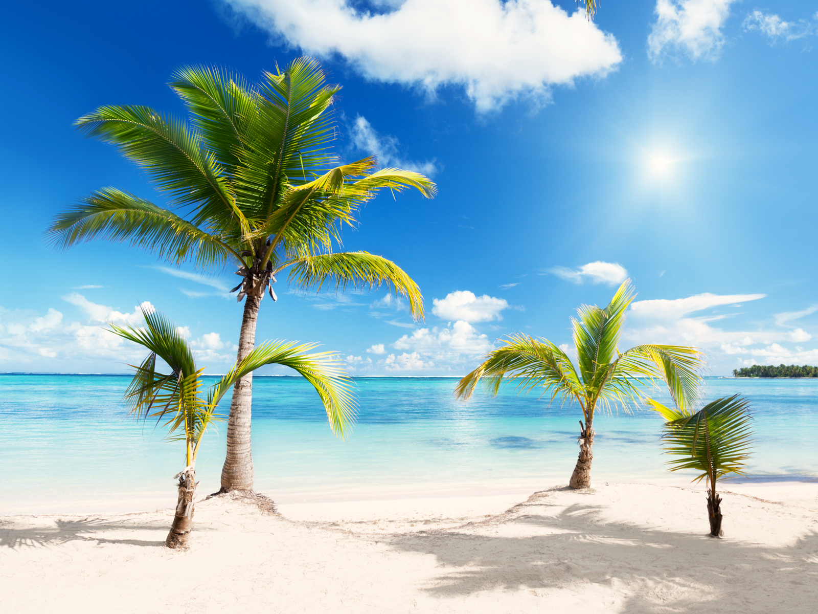 Download Wallpaper Beach Free Transparent Image HQ Clipart PNG Free