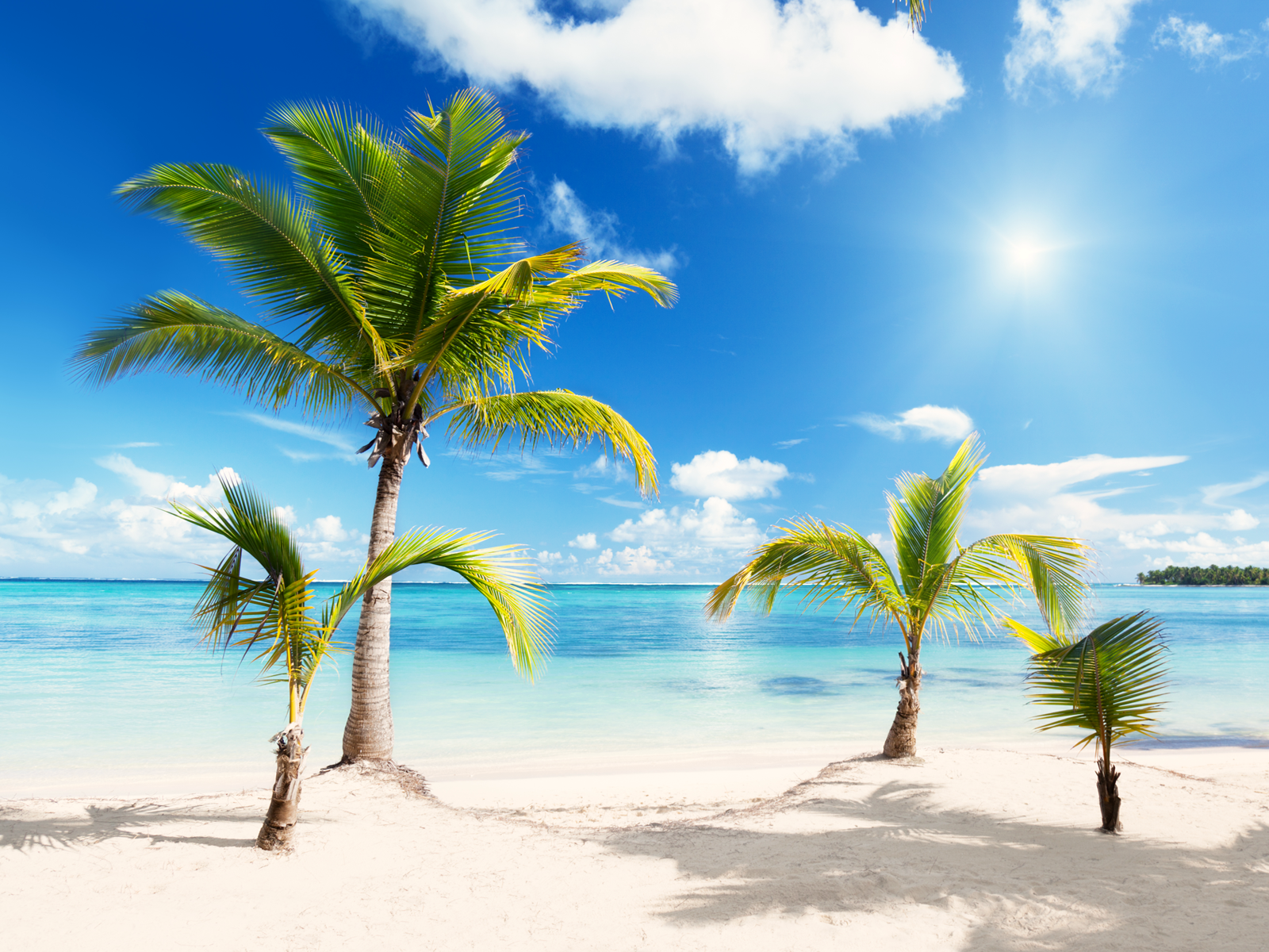 Wallpaper Beach Free Transparent Image HQ Clipart