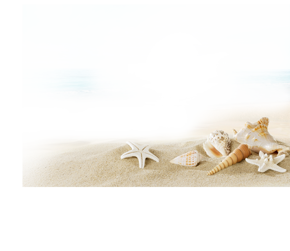 Shell Villa Conch Seashell Sunscreen Beach Clipart