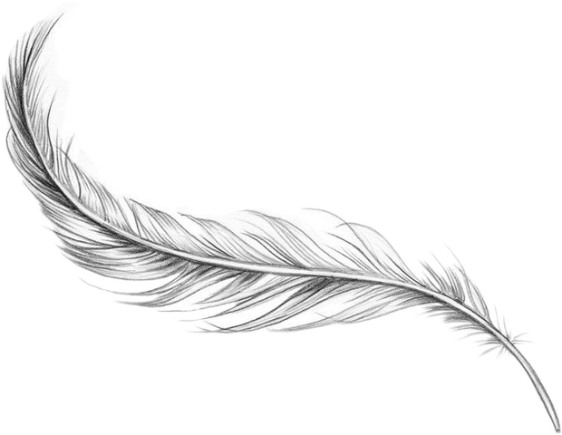 Ankle Tattoo Feather Bird Artist Download Free Image Clipart