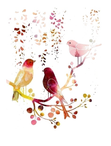 Illustration Bird Watercolor Drawing Painting Birds Clipart