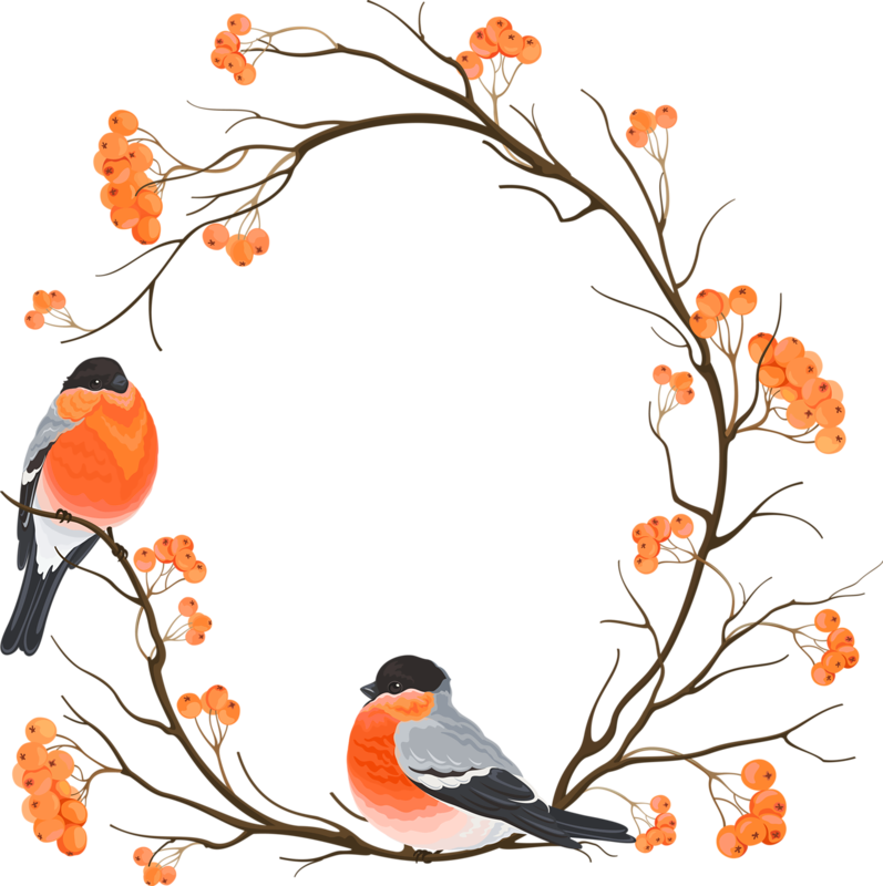 Branch Chinese Round Bird Eurasian Bullfinch Embroidery Clipart