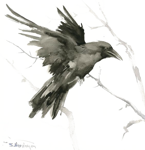 Tattoo Art Crow Drawing Common Bird Raven Clipart