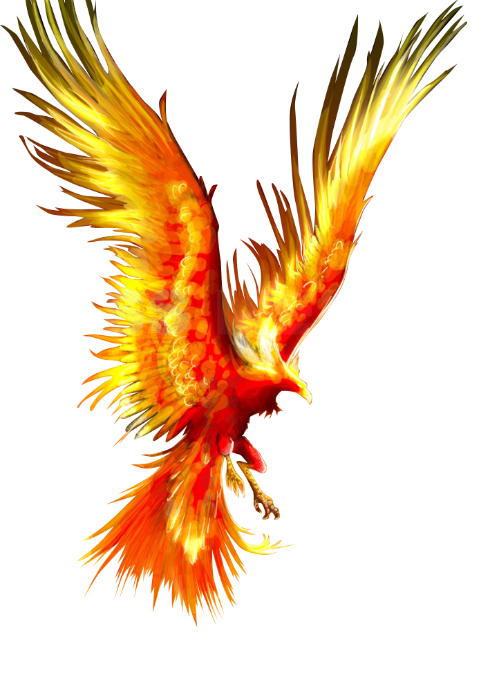 Tattoo Fireworks Mythology Firebird Phoenix Download Free Image Clipart