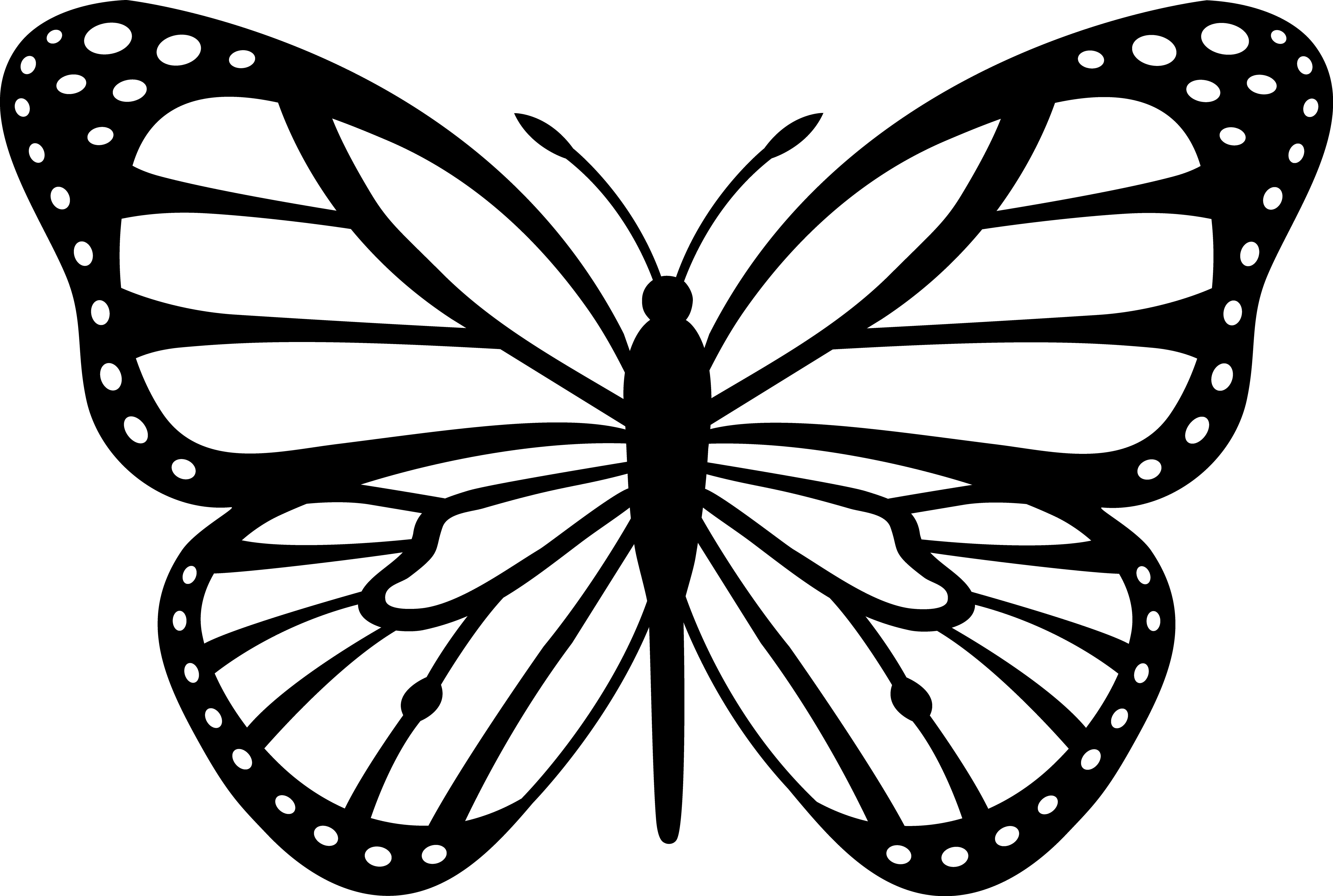 Black And White Butterfly Coloring Page For Clipart