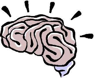 Brain And Others Art Inspiration Png Image Clipart