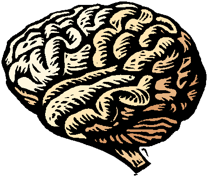 Brain Images Free Download Clipart