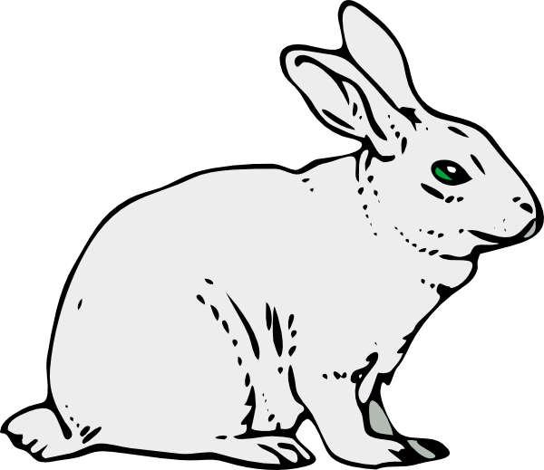 Bunny Rabbit Png Image Clipart
