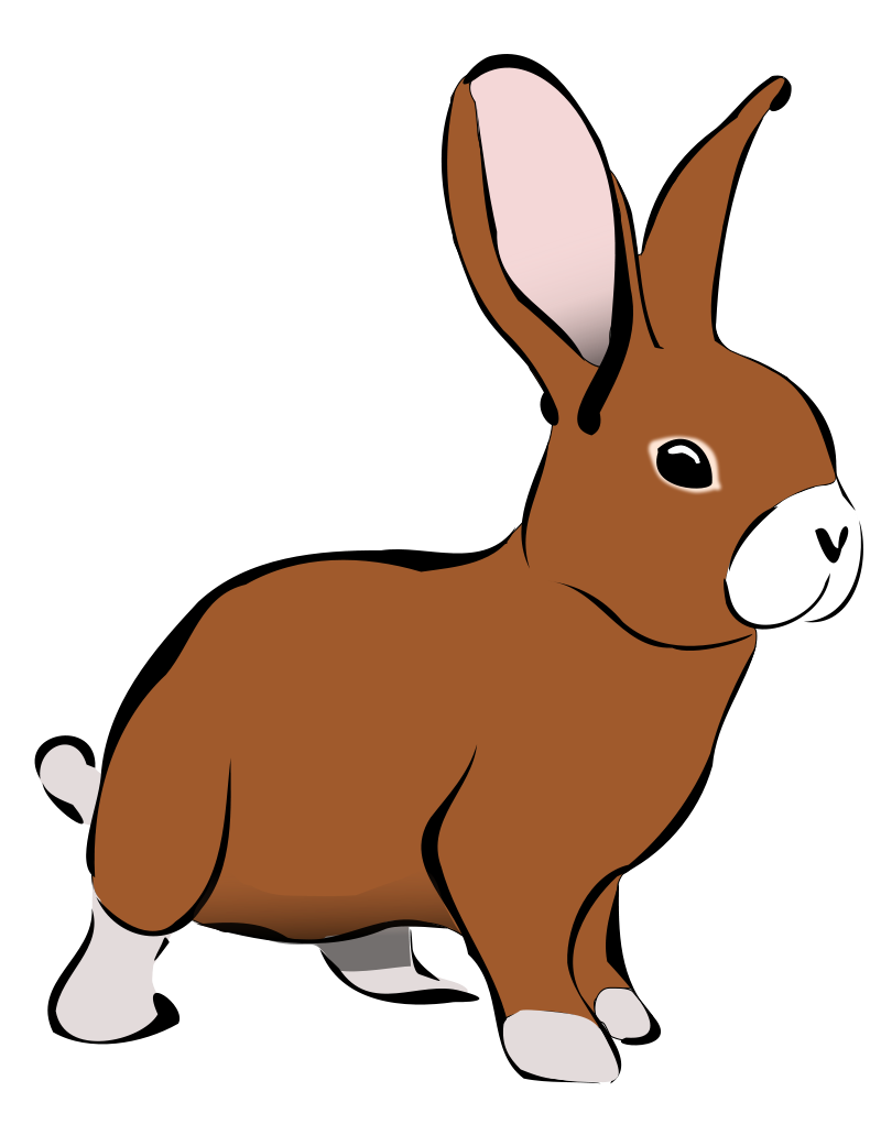Bunny Pictures Png Image Clipart