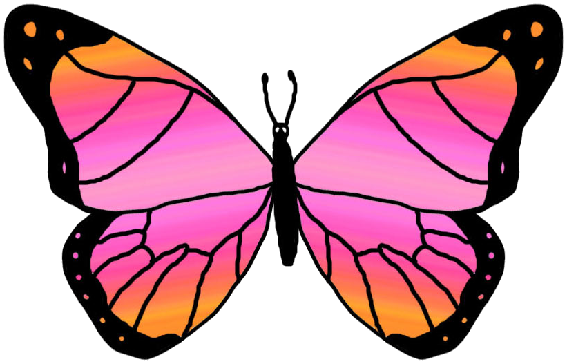 Butterflies Cartoon Butterfly Transparent Image Clipart