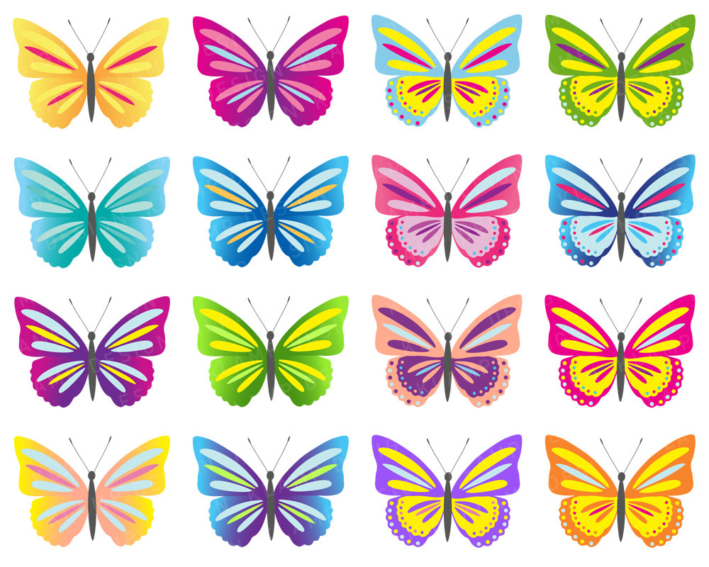 Butterfly Digital Butterflies Colorful Transparent Image Clipart