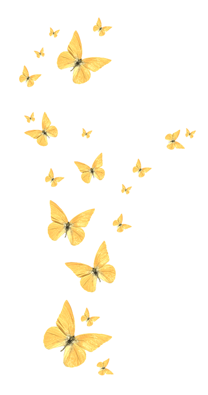 Butterfly Golden Download Free Image Clipart