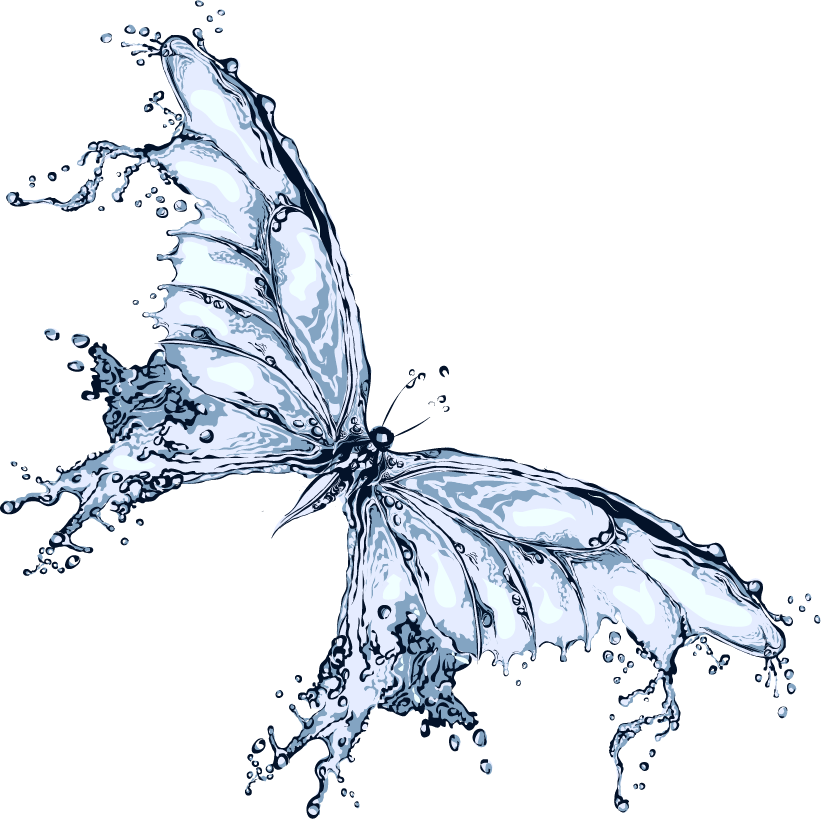Butterfly Water Liquid Free Transparent Image HQ Clipart