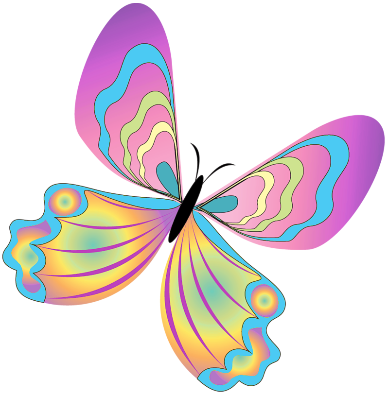 Butterflies Butterfly Png Image Clipart