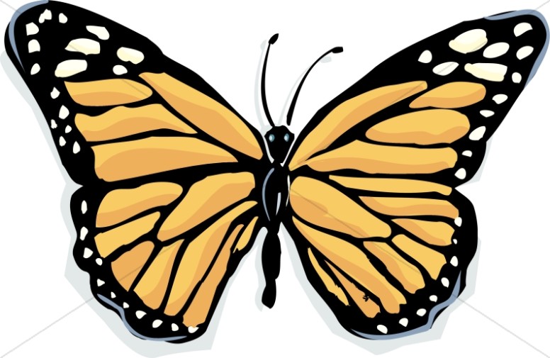 Butterfly Graphics Images Sharefaith Download Png Clipart