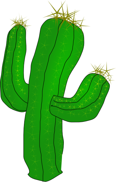 Cactus To Use Hd Photos Clipart