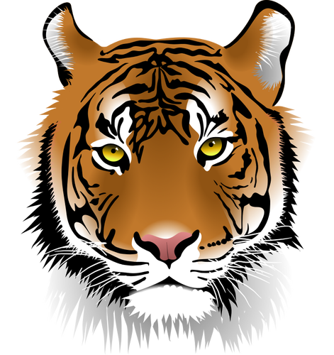 Tiger'S Head Clipart