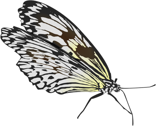 Walking Butterfly Clipart