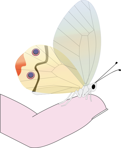 Butterfly On A Fingertip Clipart