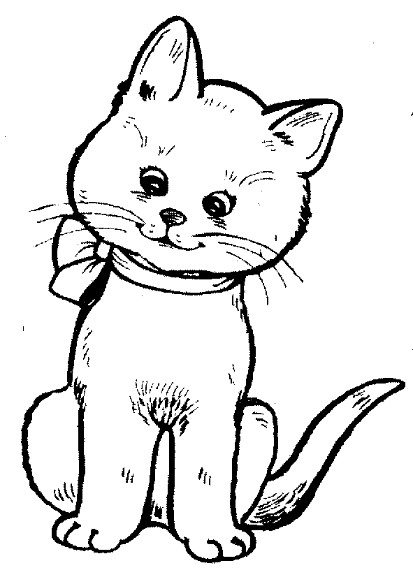 Cat Cartoon Image Image Png Clipart