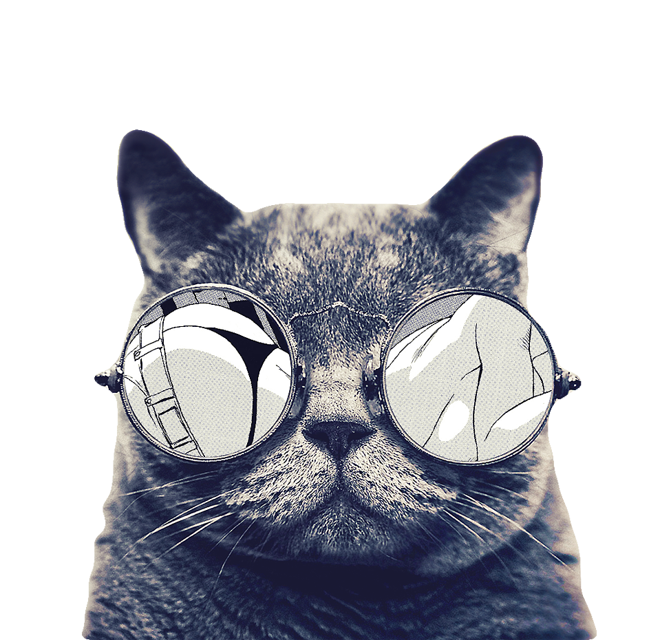 Sunglasses Icon With Cat Free Transparent Image HQ Clipart