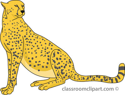 Search Results For Cheetah Pictures Image Png Clipart