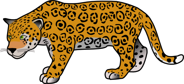 Cheetah Images Png Image Clipart