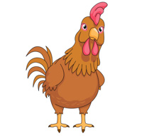 Free Chicken Pictures Graphics Illustrations Png Images Clipart