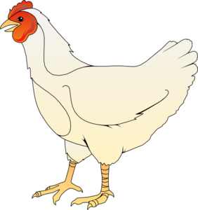 Chicken Baby Chick At Clker Vector Clipart