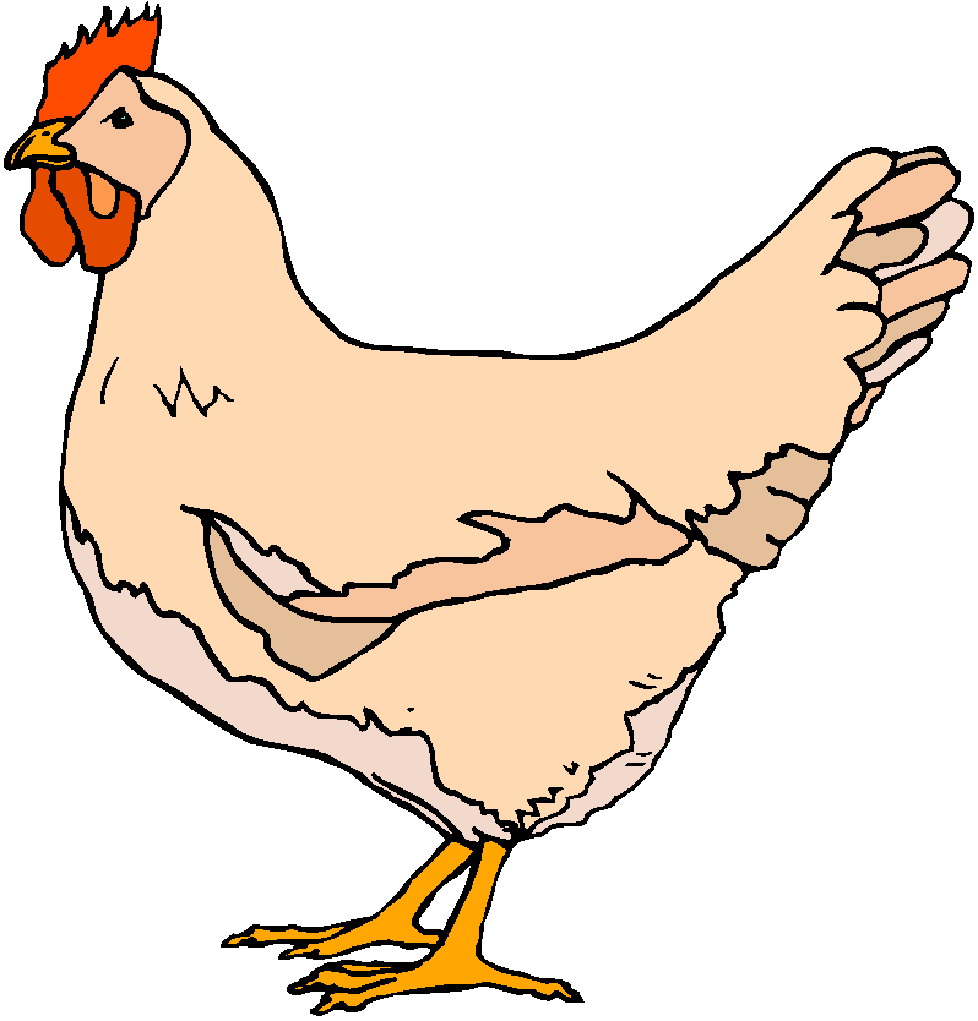 Chicken Khge Png Image Clipart