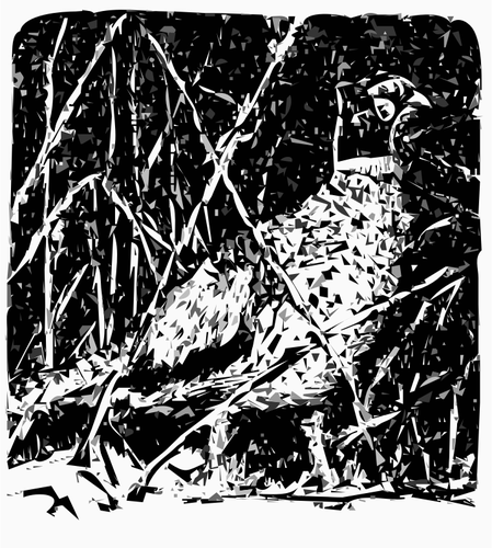 Pheasant Clipart